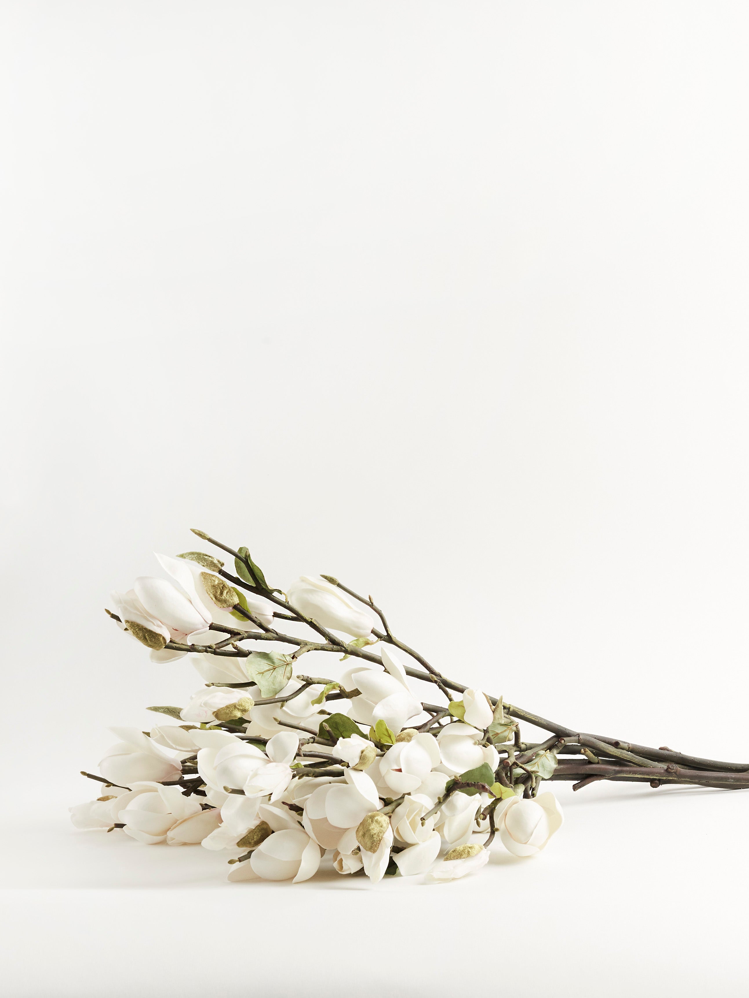 Faux White Magnolia