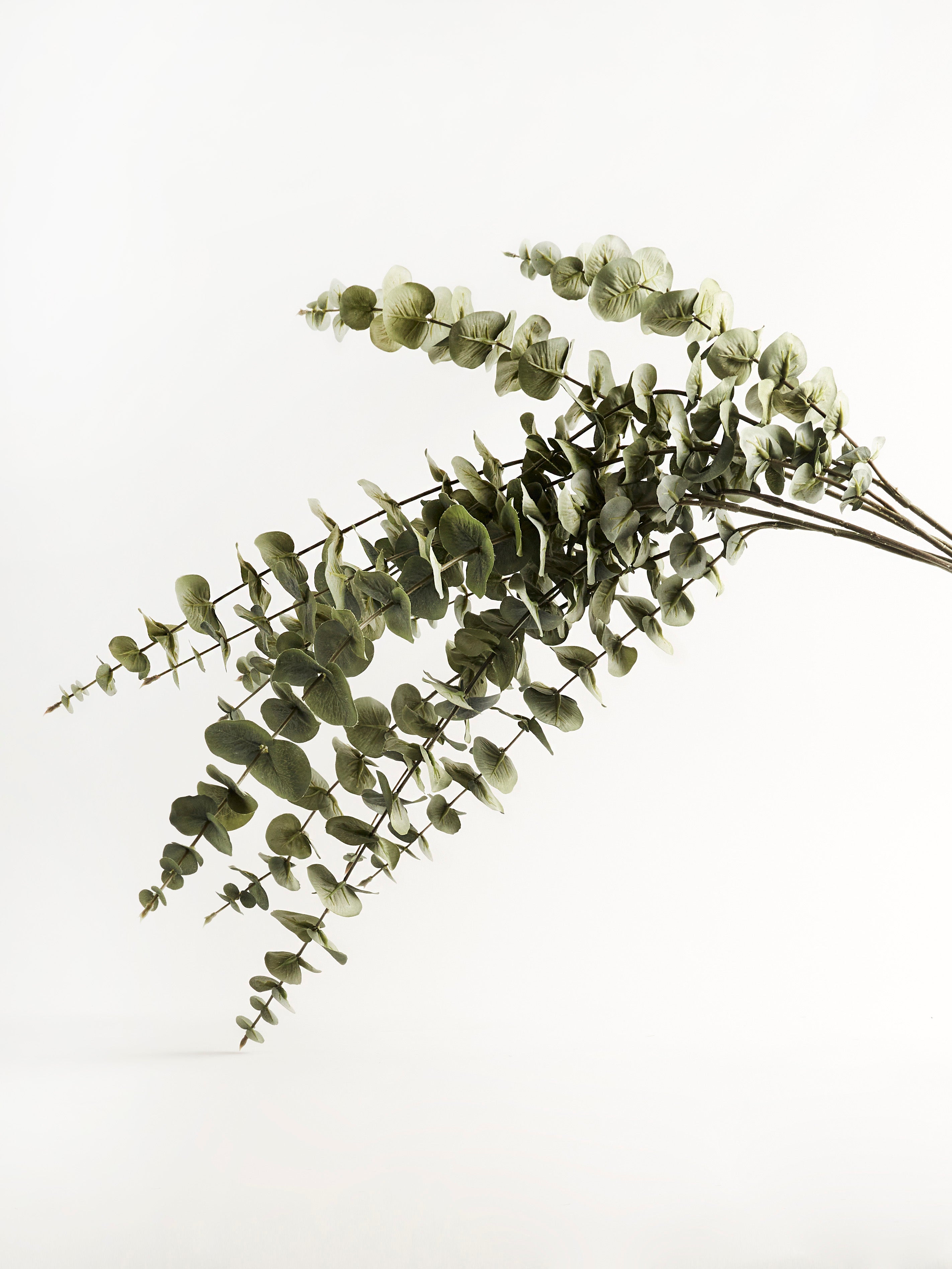 Faux Green Eucalyptus