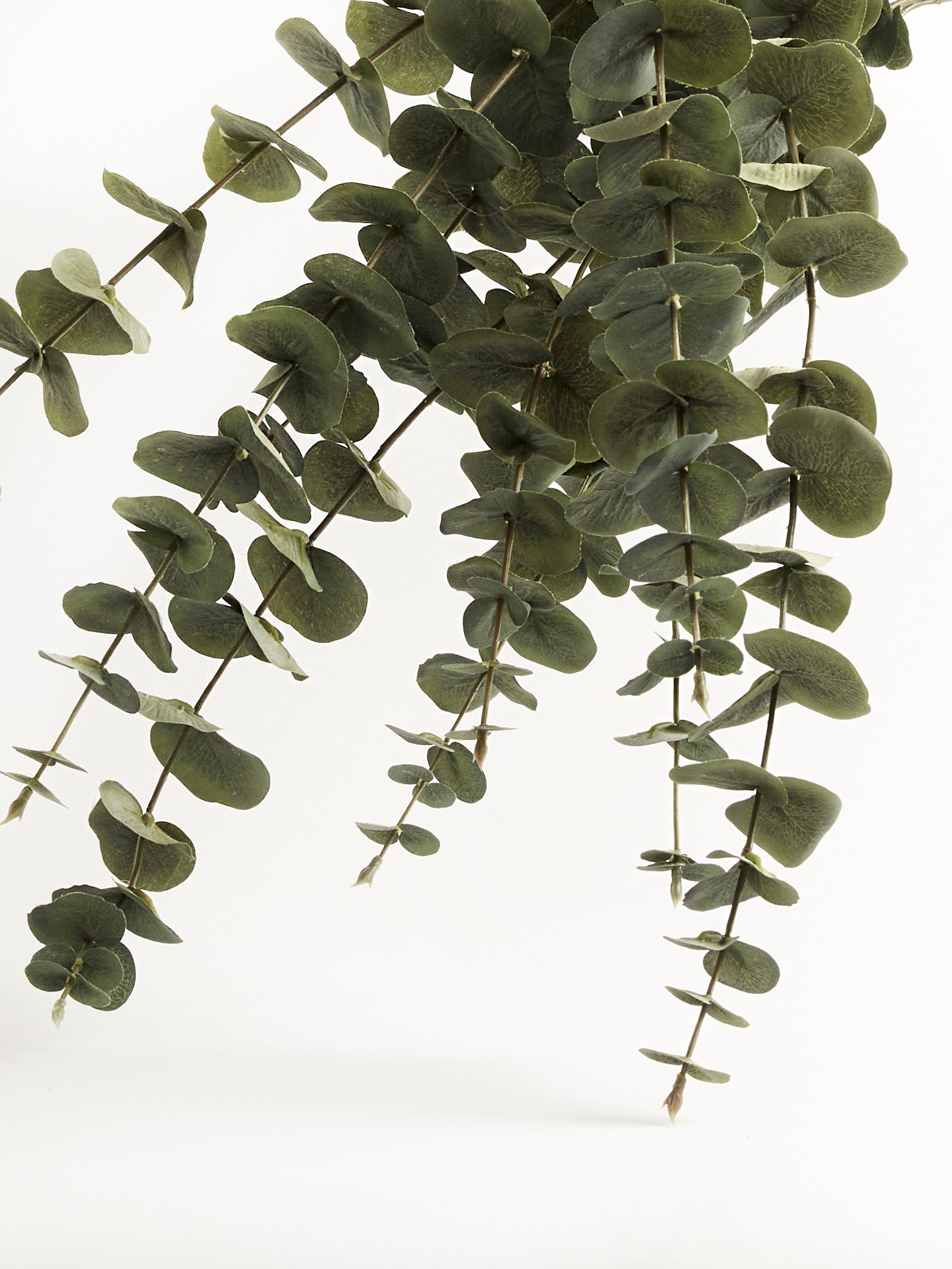 Faux Green Eucalyptus