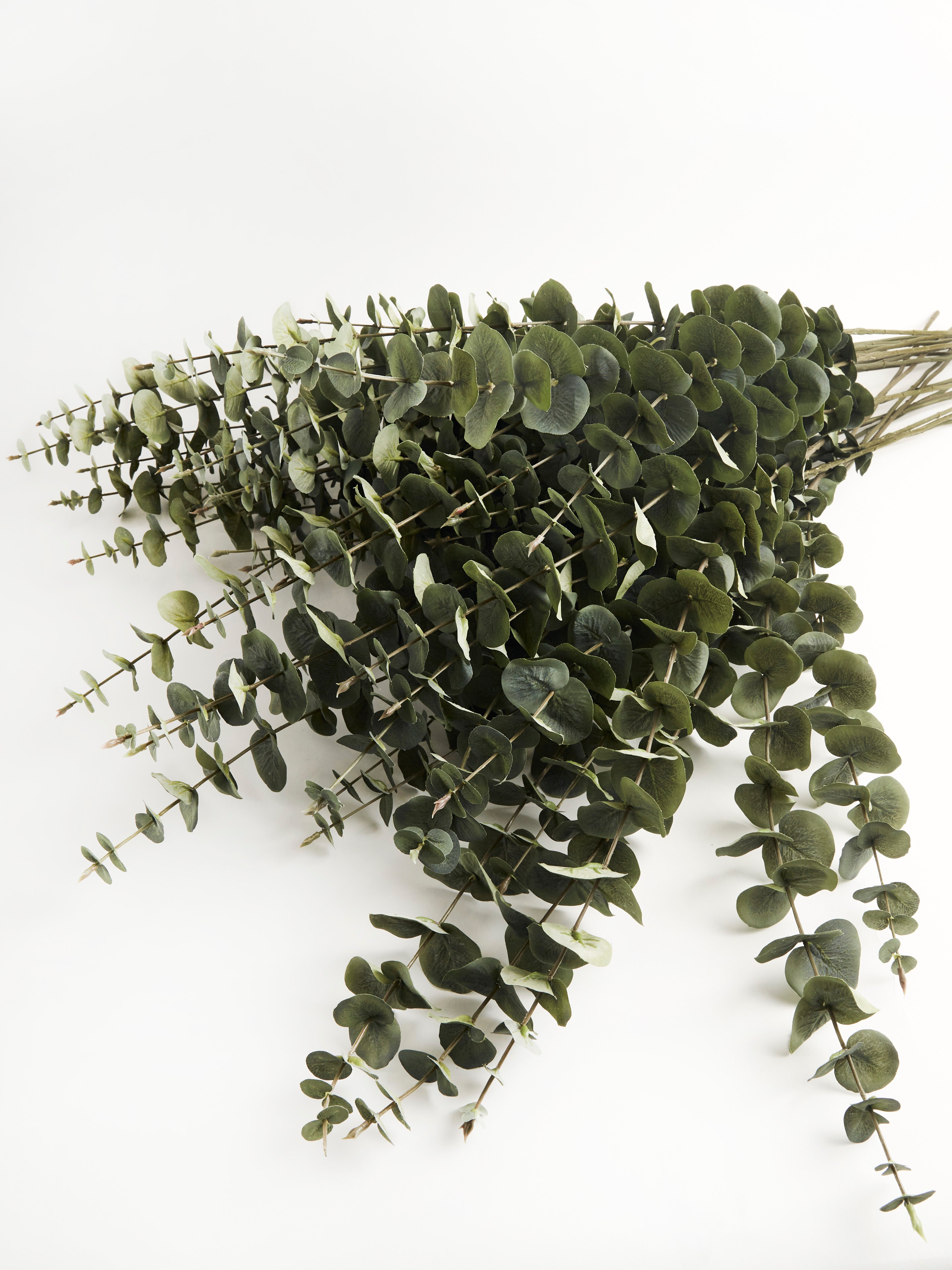 Faux Green Eucalyptus