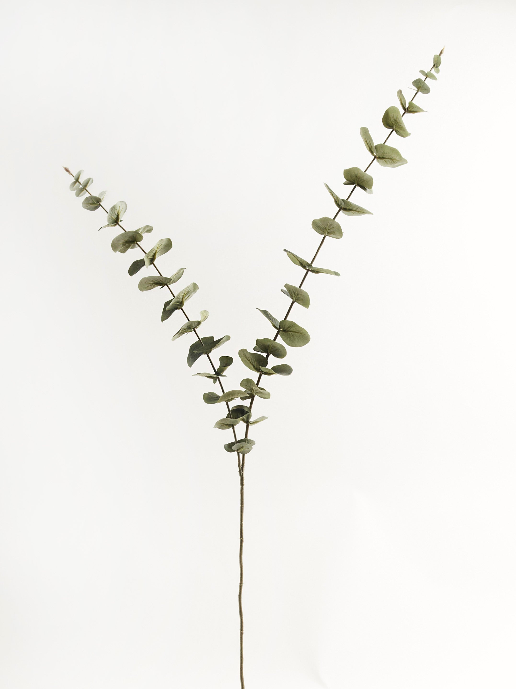 Faux Green Eucalyptus