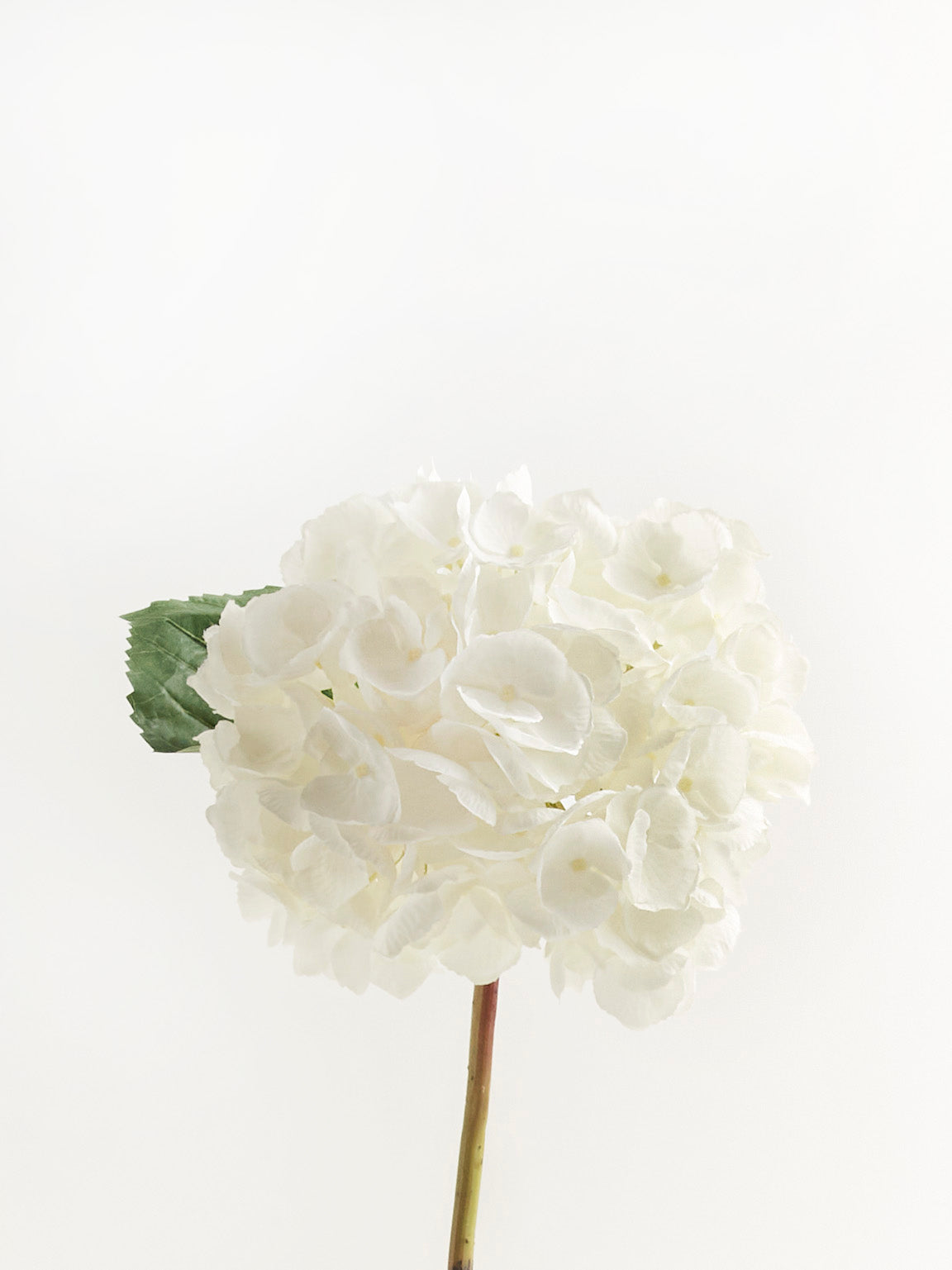 Faux White Hydrangeas