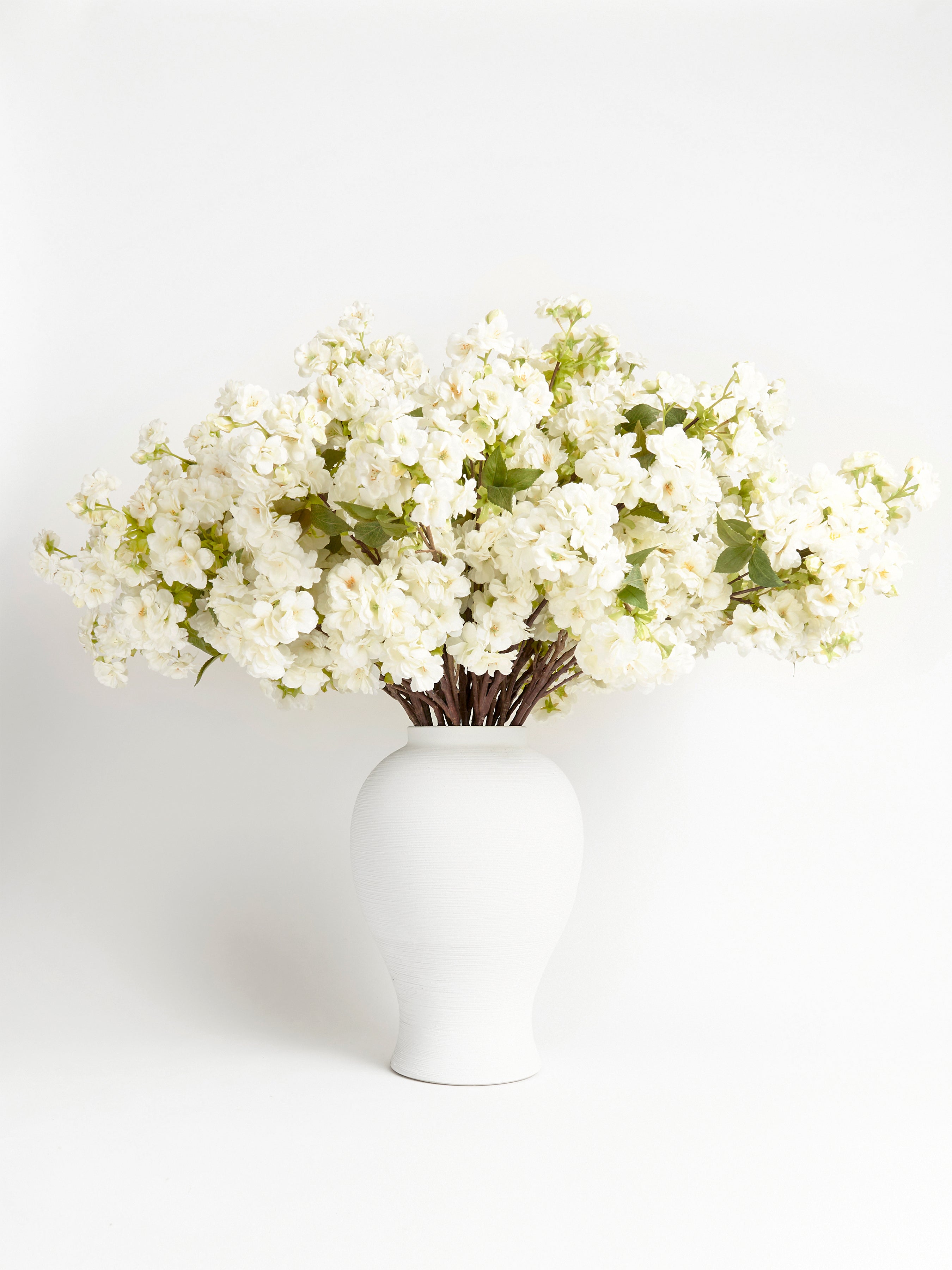 Elena Vase