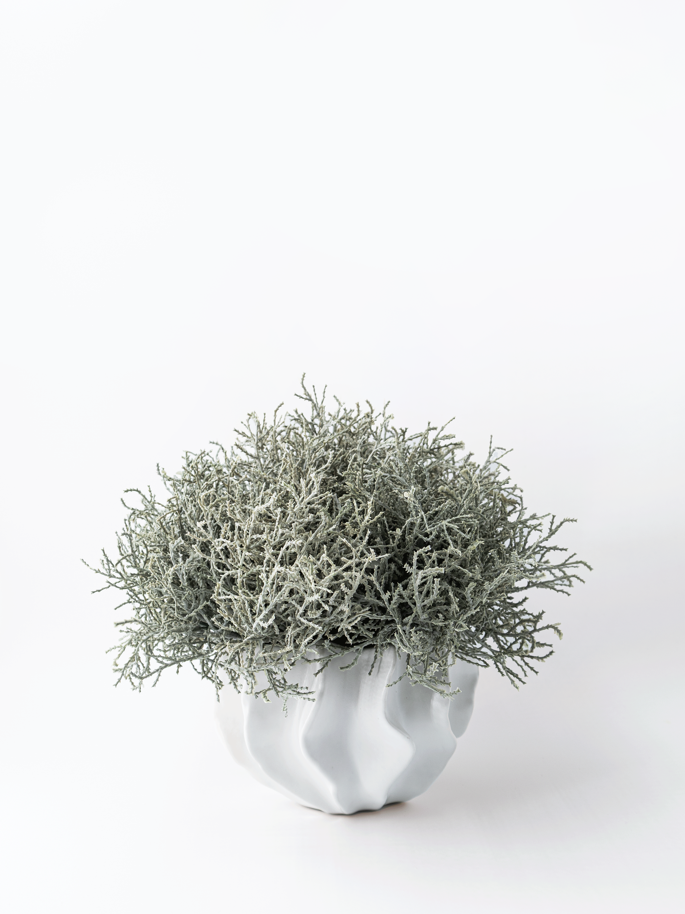 White ceramic Harmony vase with faux Santolina greenery