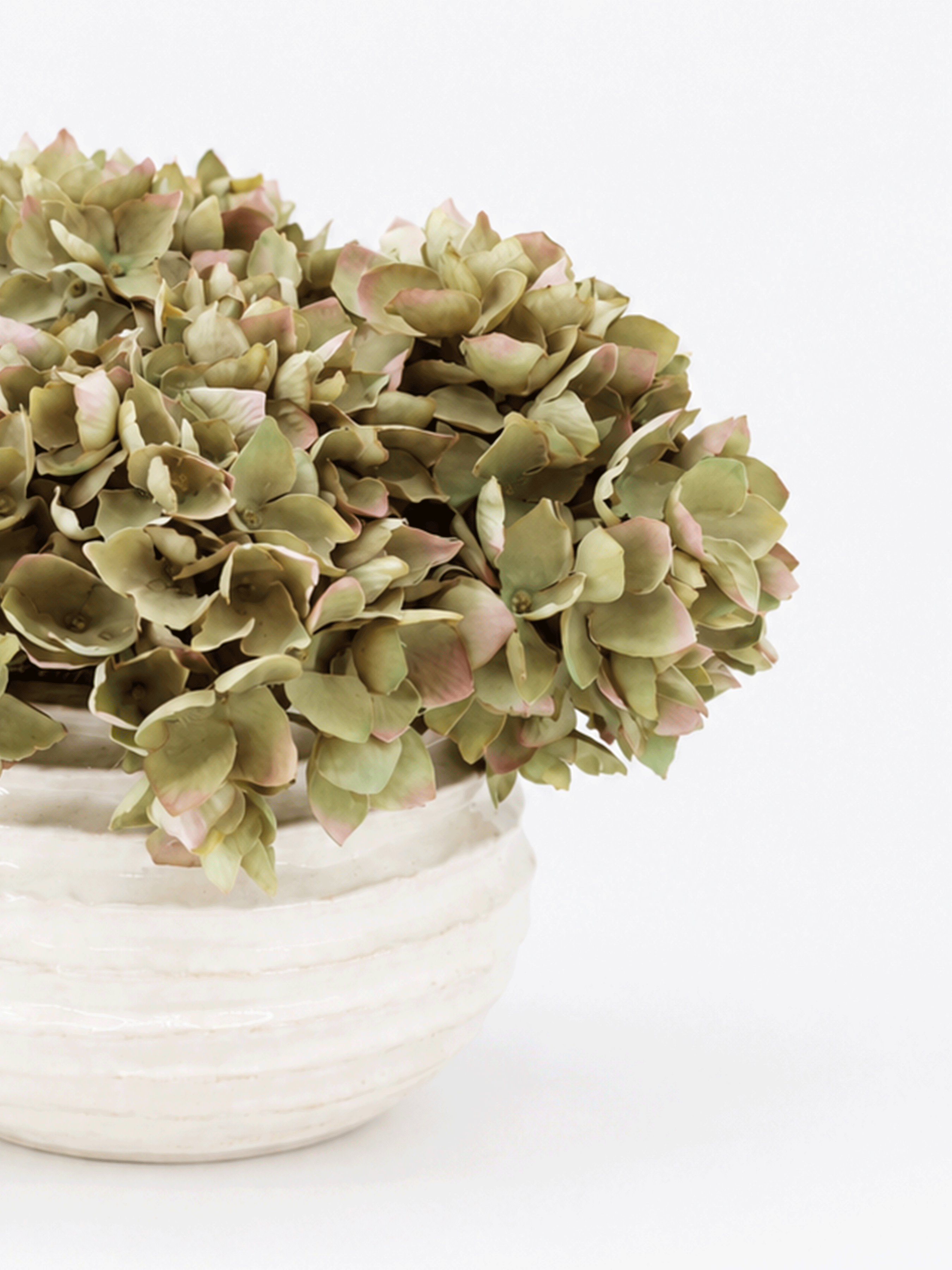 Ripple Vase With Antique Green Hydrangea Arrangement