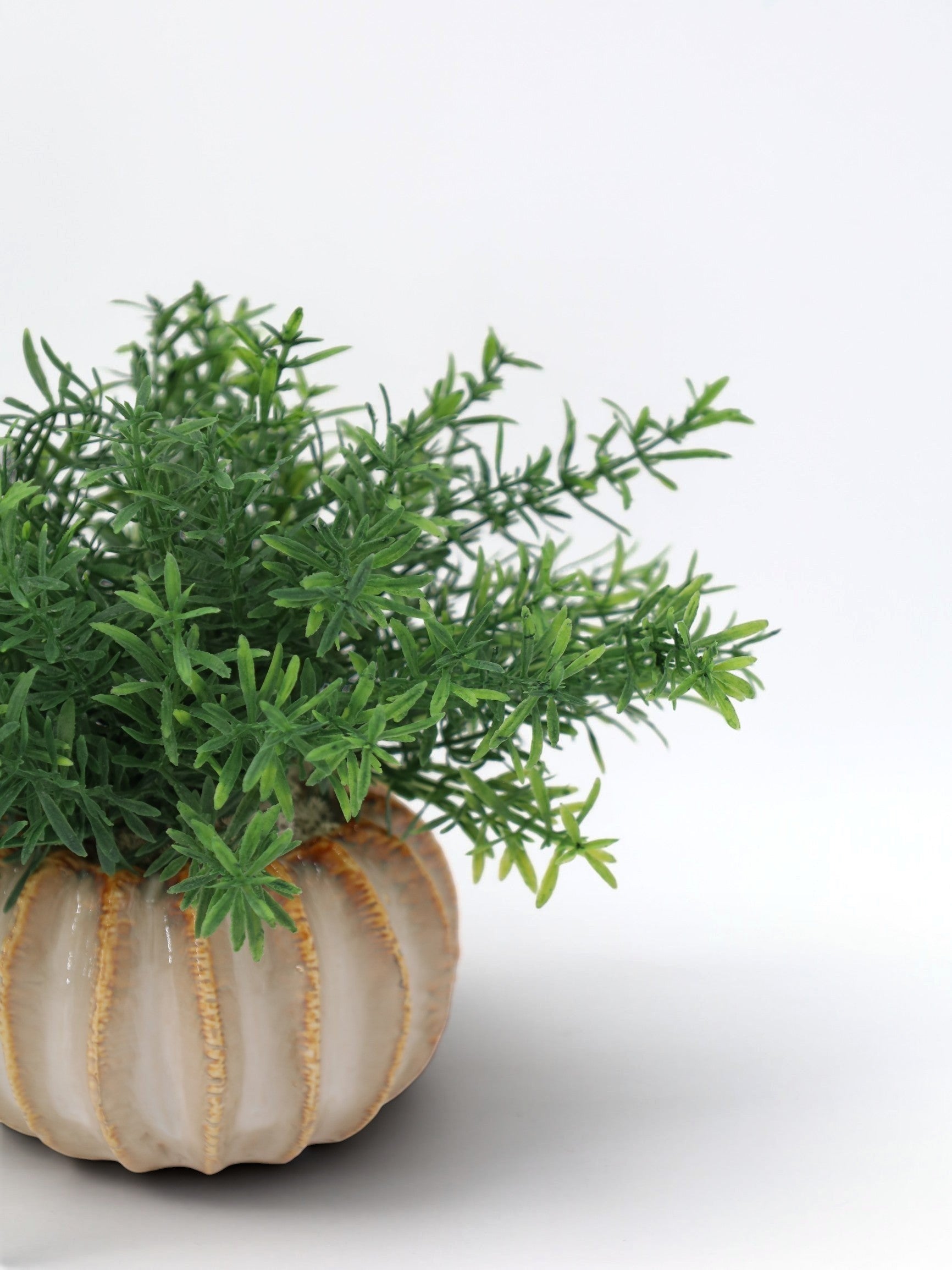 Sixty3 Styled Faux Rosemary Plant in a ribbed, pumpkin-shaped ceramic pot with a glazed, earthy tone.