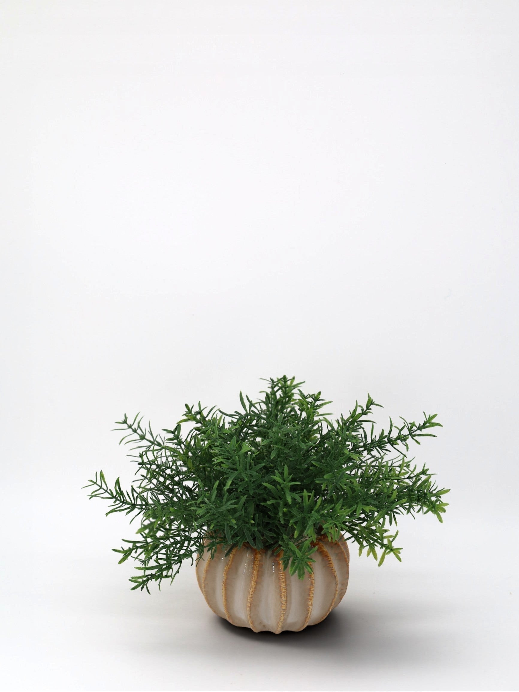 Sixty3 Styled Faux Rosemary Plant in a ribbed, pumpkin-shaped ceramic pot with a textured, glazed finish. Green artificial plant.