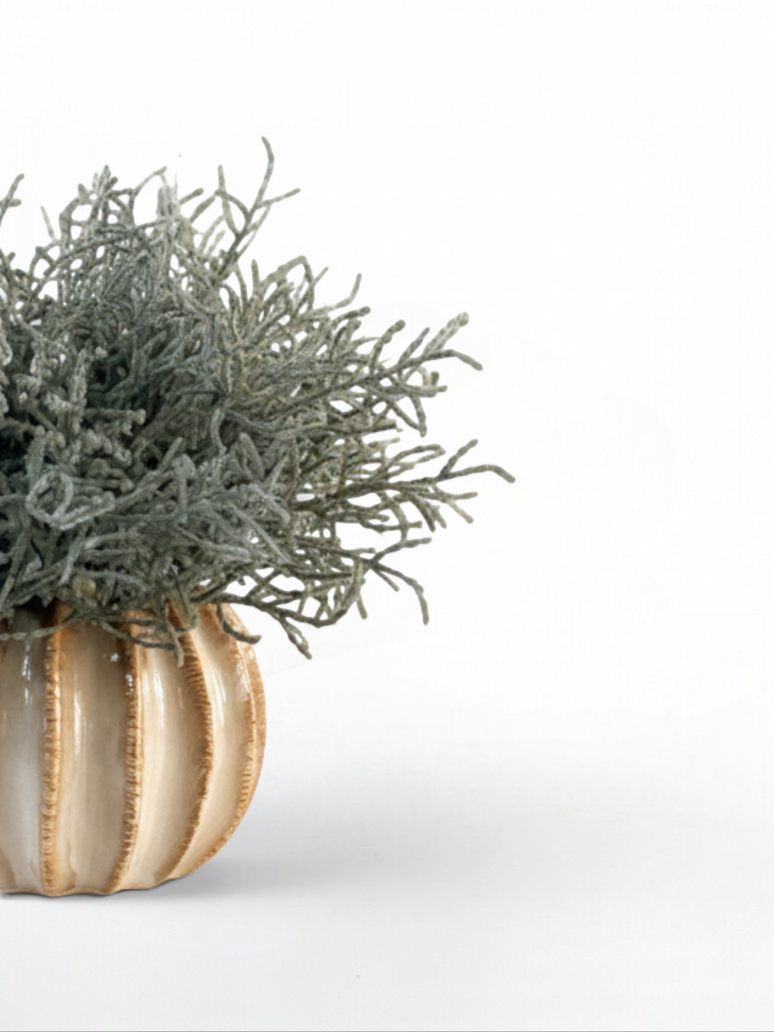 Sixty3 Styled Little Lydia ceramic vase in almond with faux Santolina greenery. Textured ribbed design.