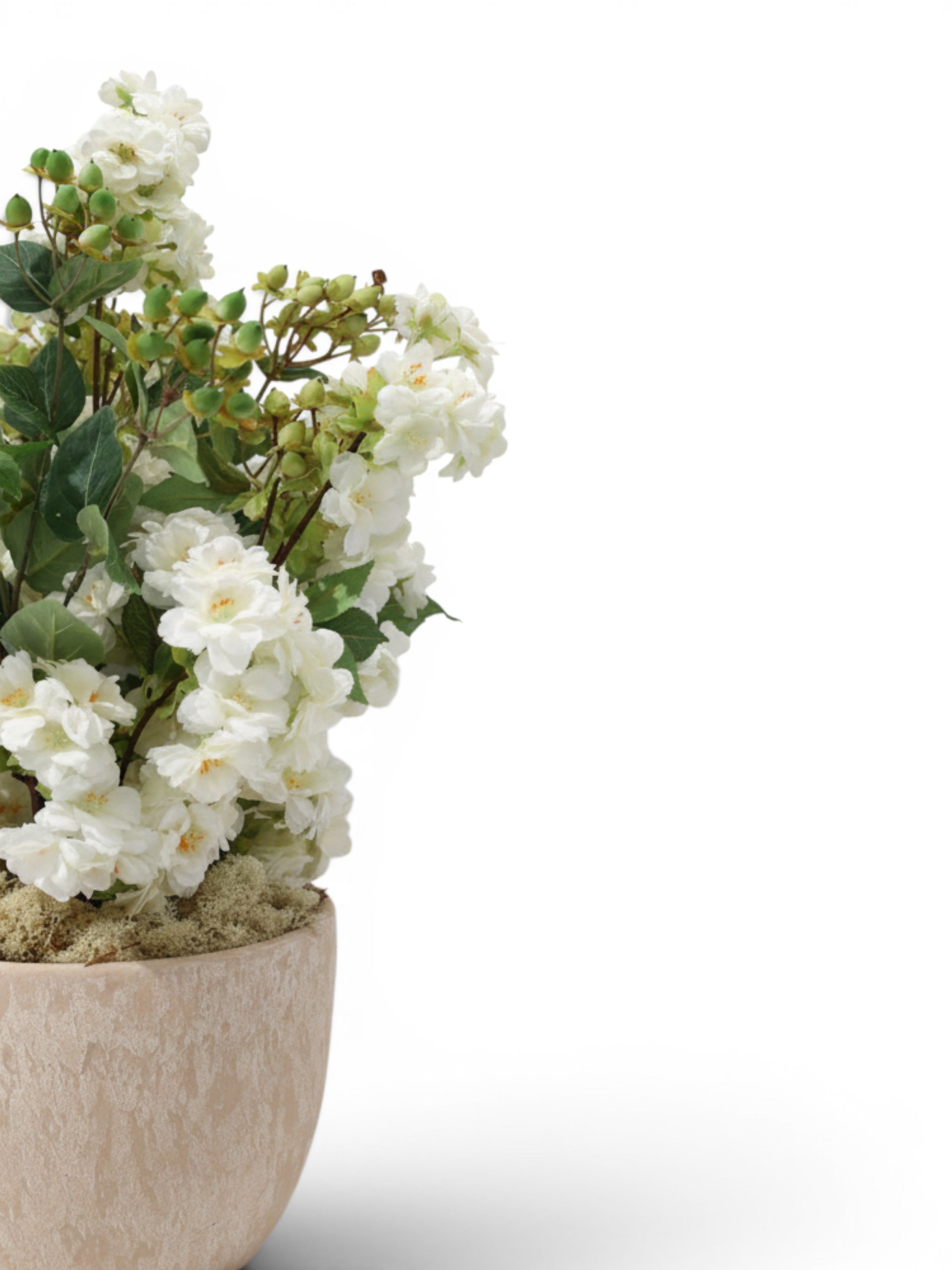 Sixty3 Styled white blossom arrangement in a textured neutral pot with green foliage and buds.