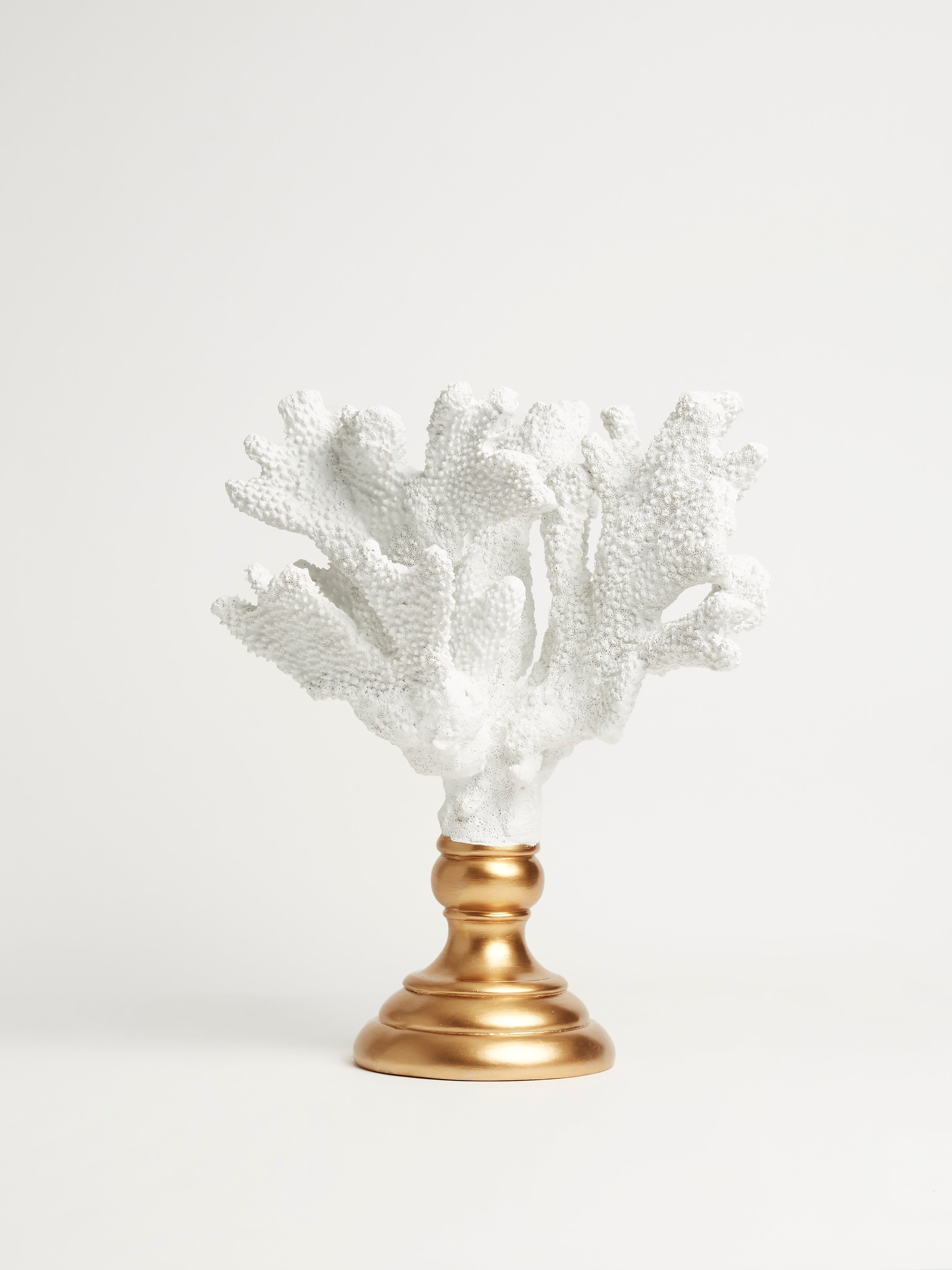 Coral on a Brass Base