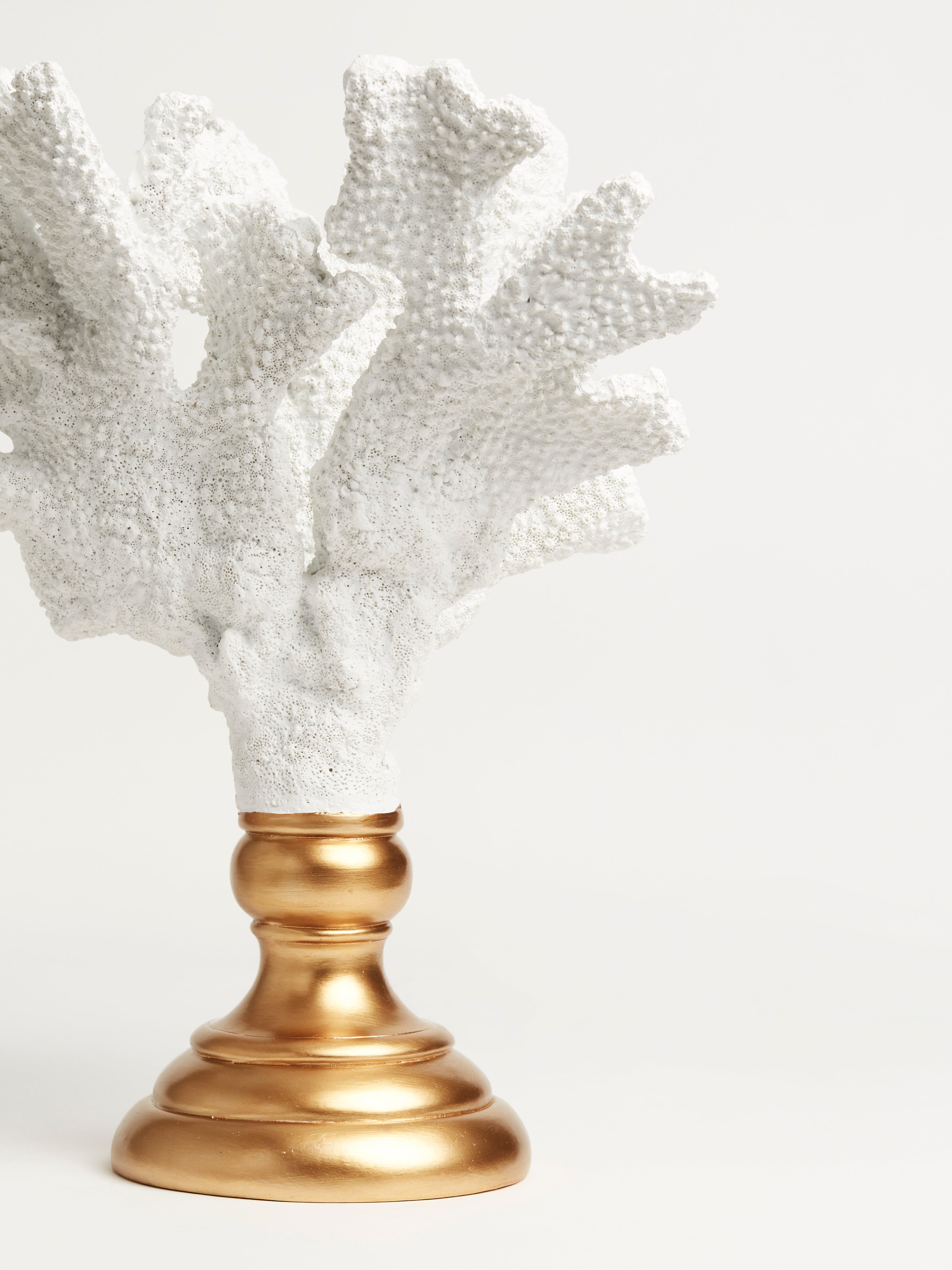 Coral on a Brass Base