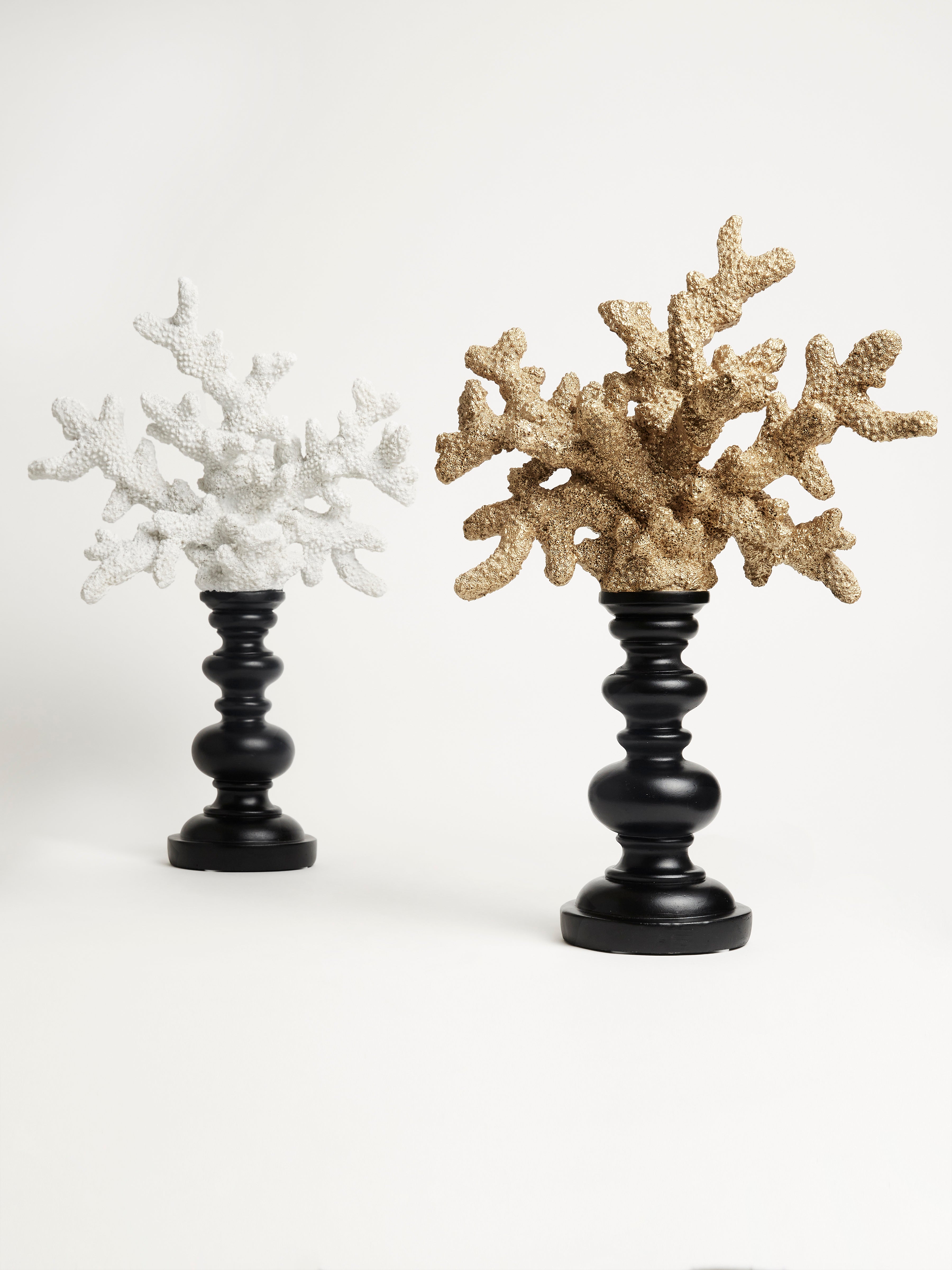 Pair of Coral on Black Stand