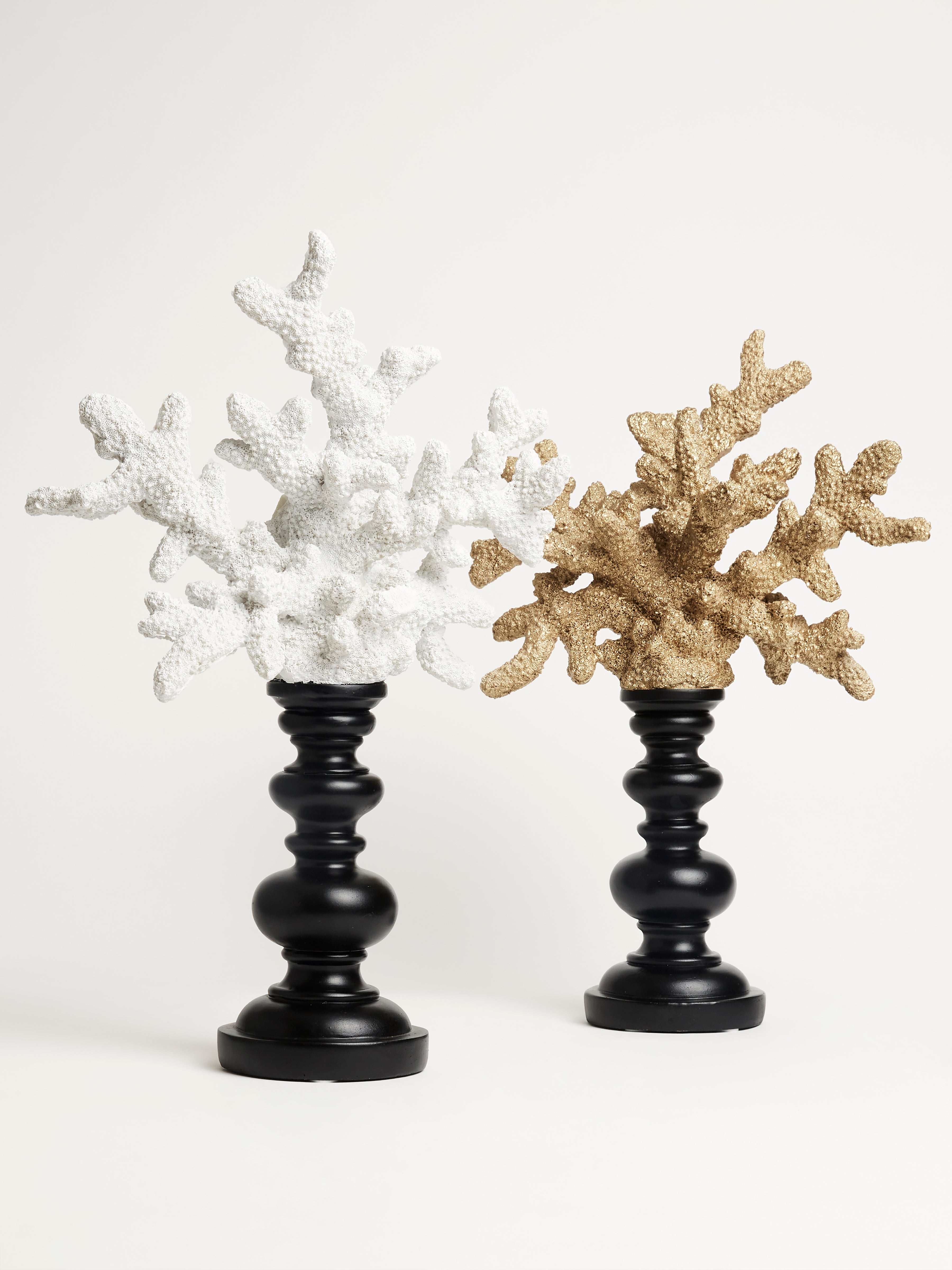 Pair of Coral on Black Stand