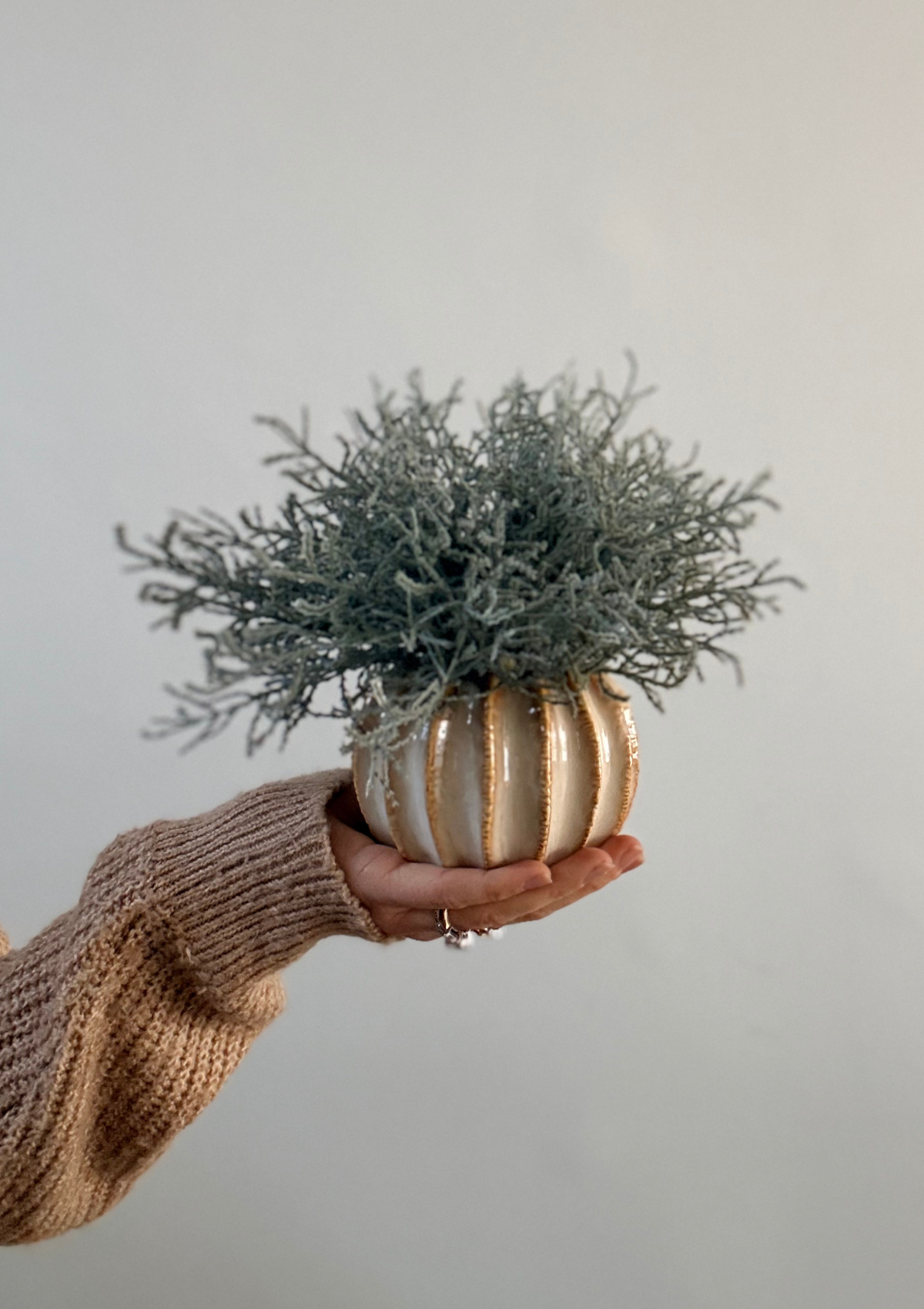 Small Lydia with Santolina