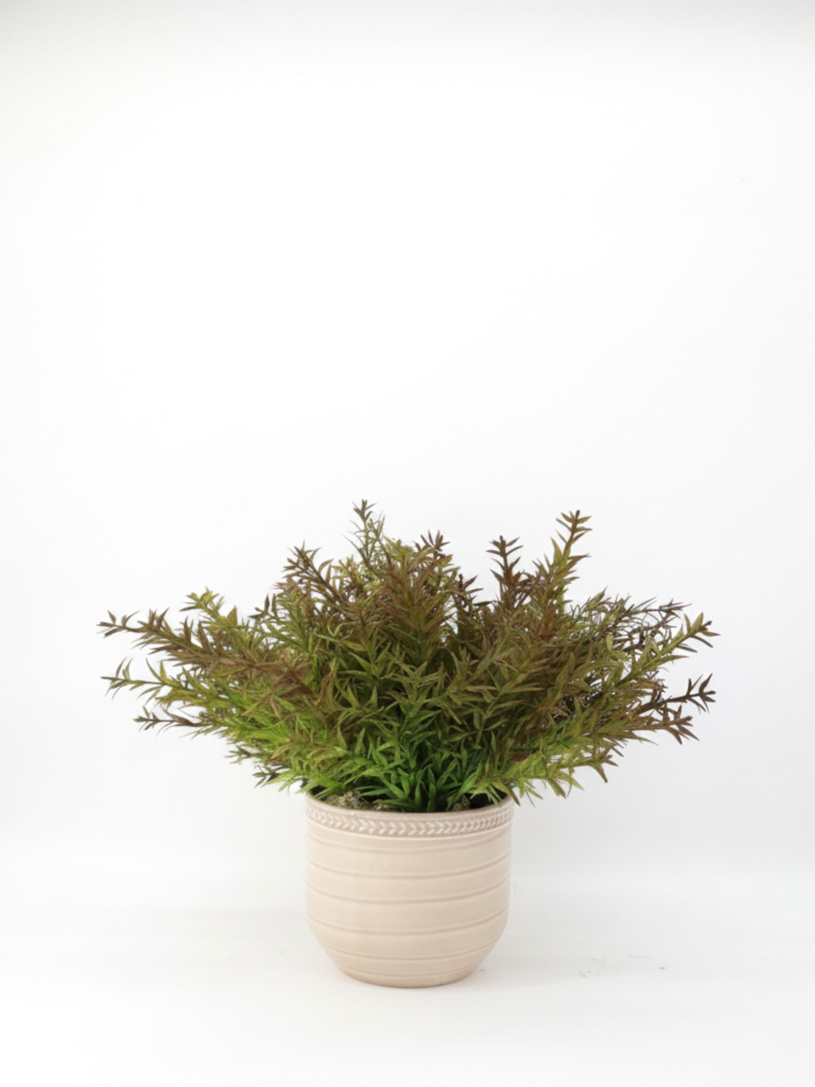 Sixty3 Styled artificial foliage plant with green and burgundy leaves in a beige textured ceramic pot.