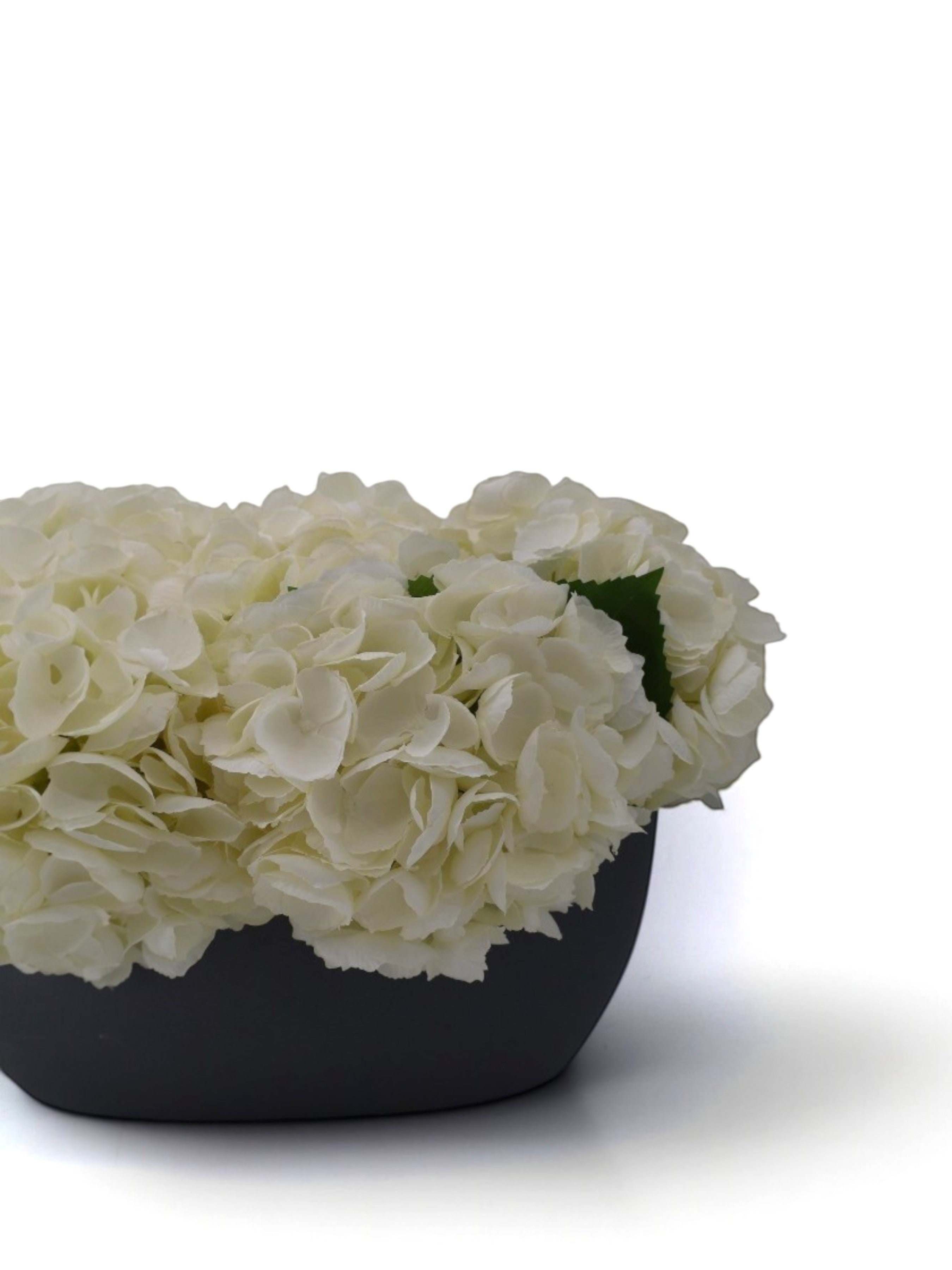 Sixty3 Styled artificial creamy white hydrangeas in a dark grey bowl planter. Realistic floral arrangement.