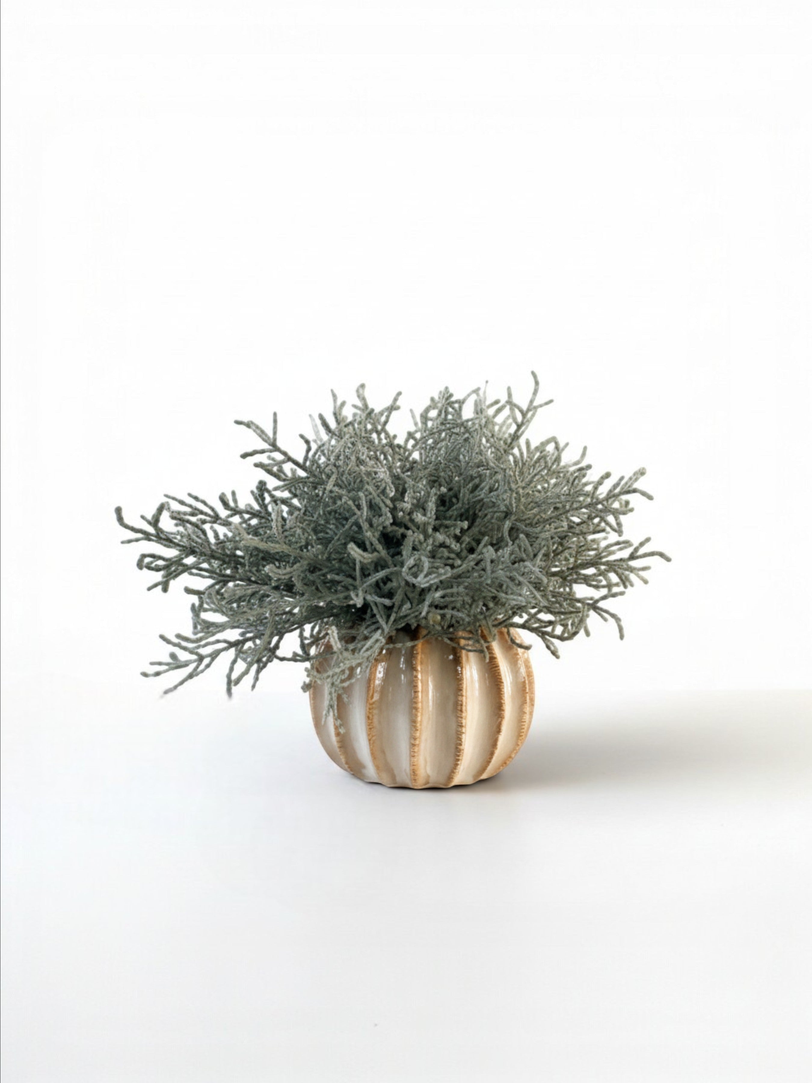 Sixty3 Styled Little Lydia ceramic vase in almond with faux Santolina plant. Textured ribbed design.