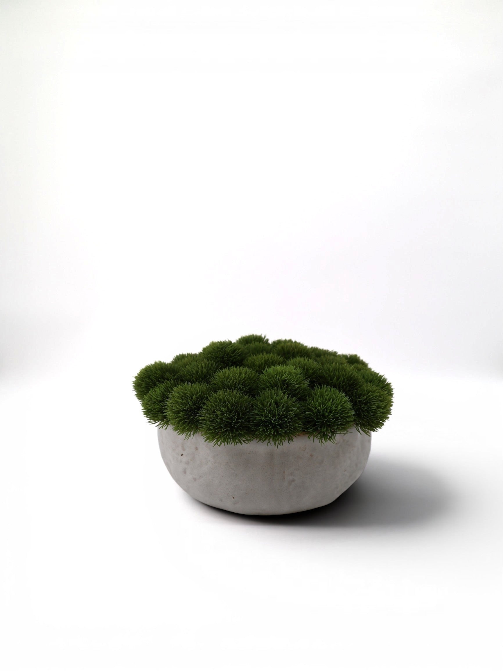Sixty3 Styled textured concrete-style bowl with vibrant green spiky moss arrangement.