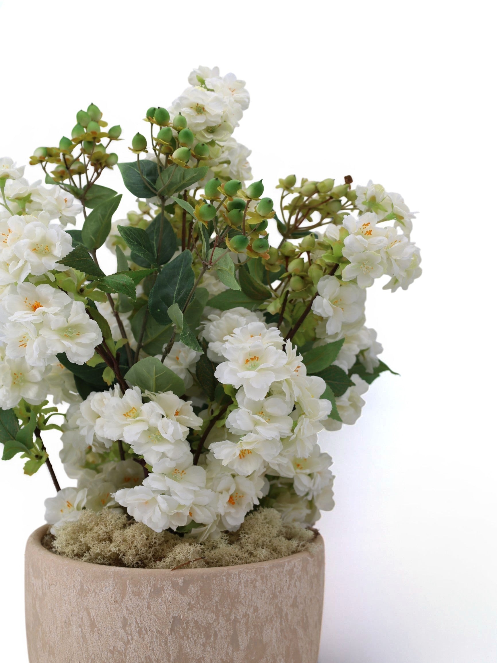 Sixty3 Styled white blossom arrangement in a textured neutral pot with green foliage and buds.