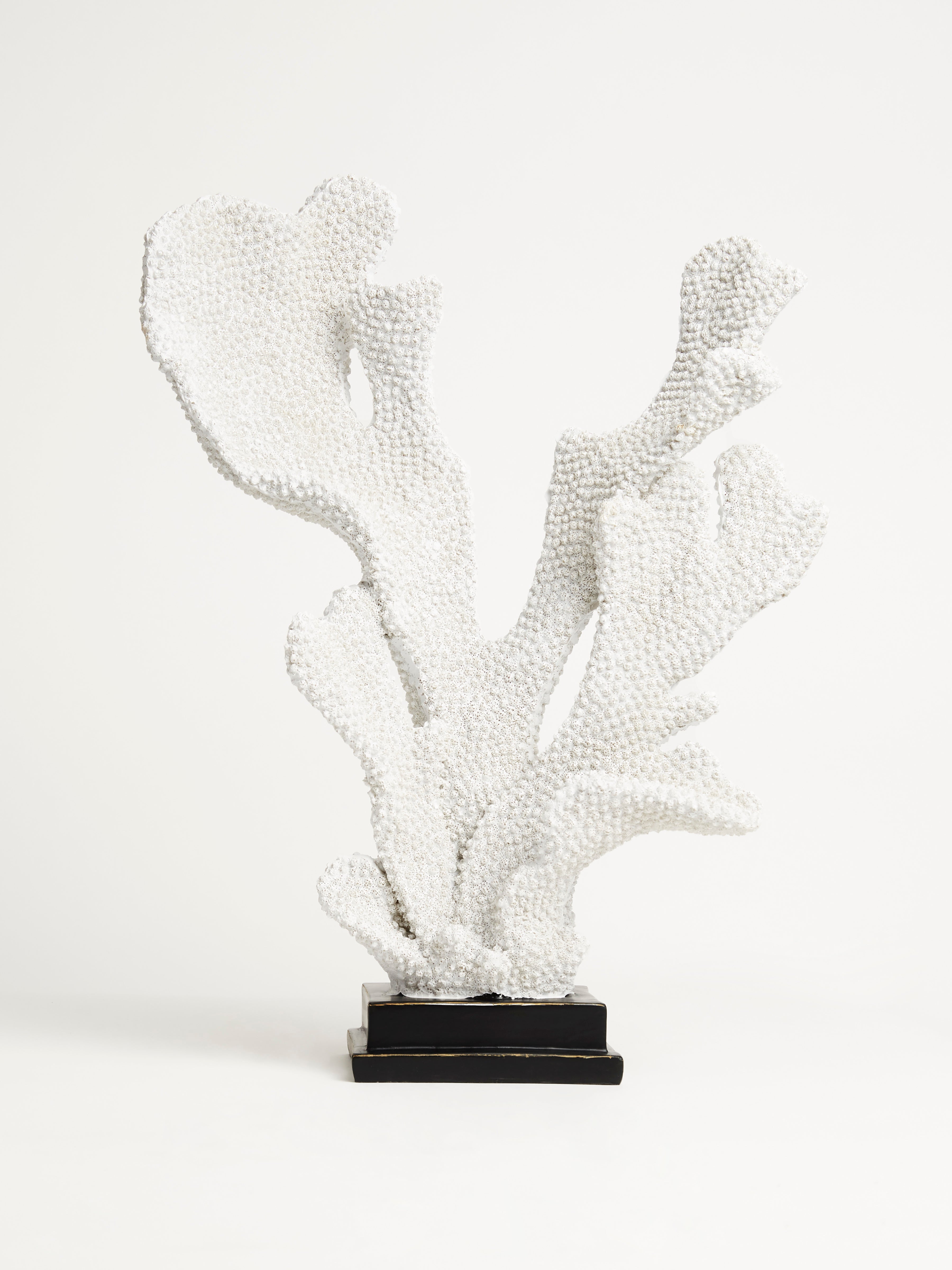 Coral on Bronze Stand