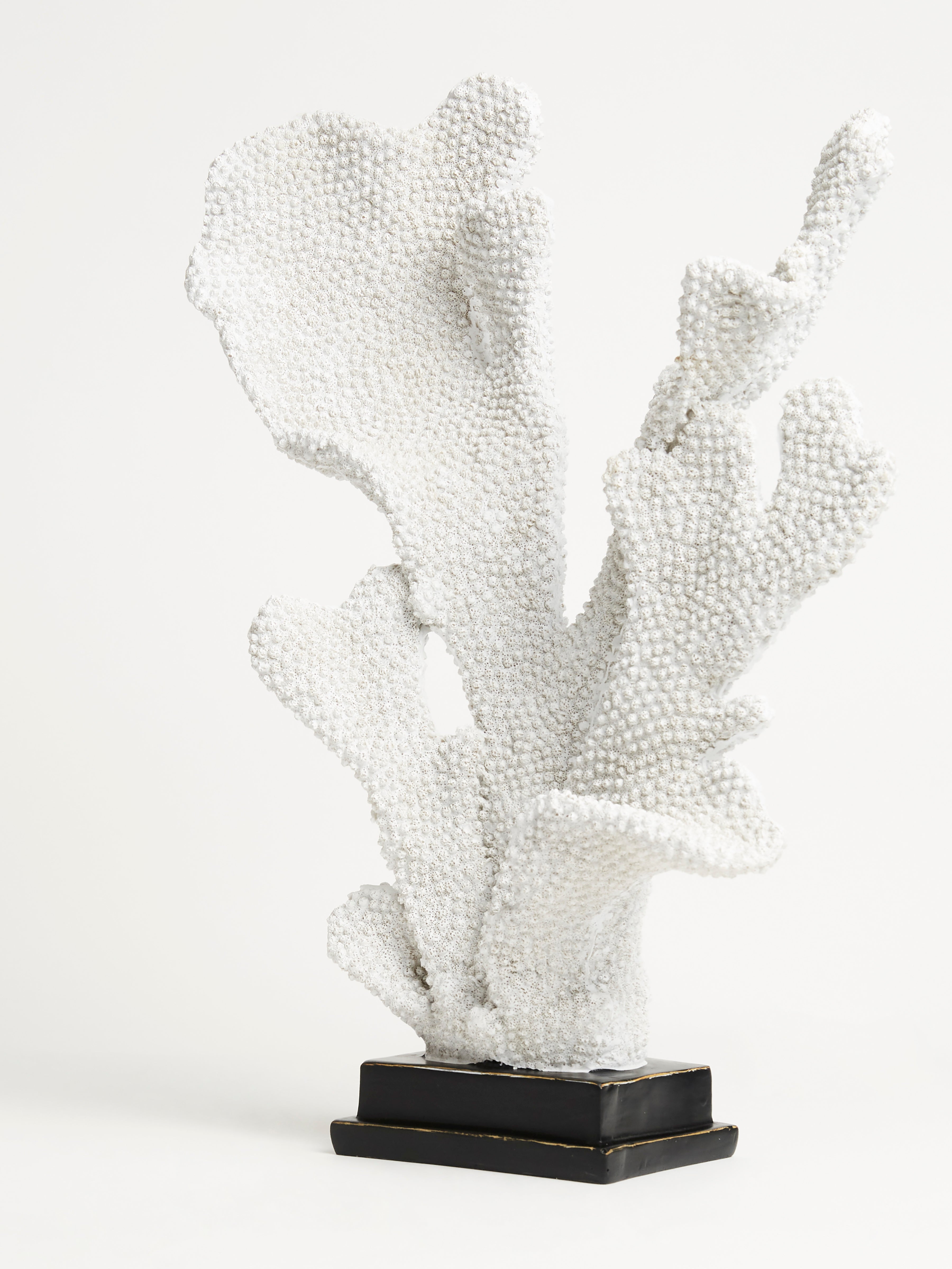 Coral on Bronze Stand